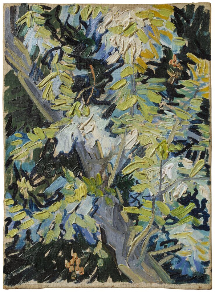Acacia en fleur van gogh.jpg