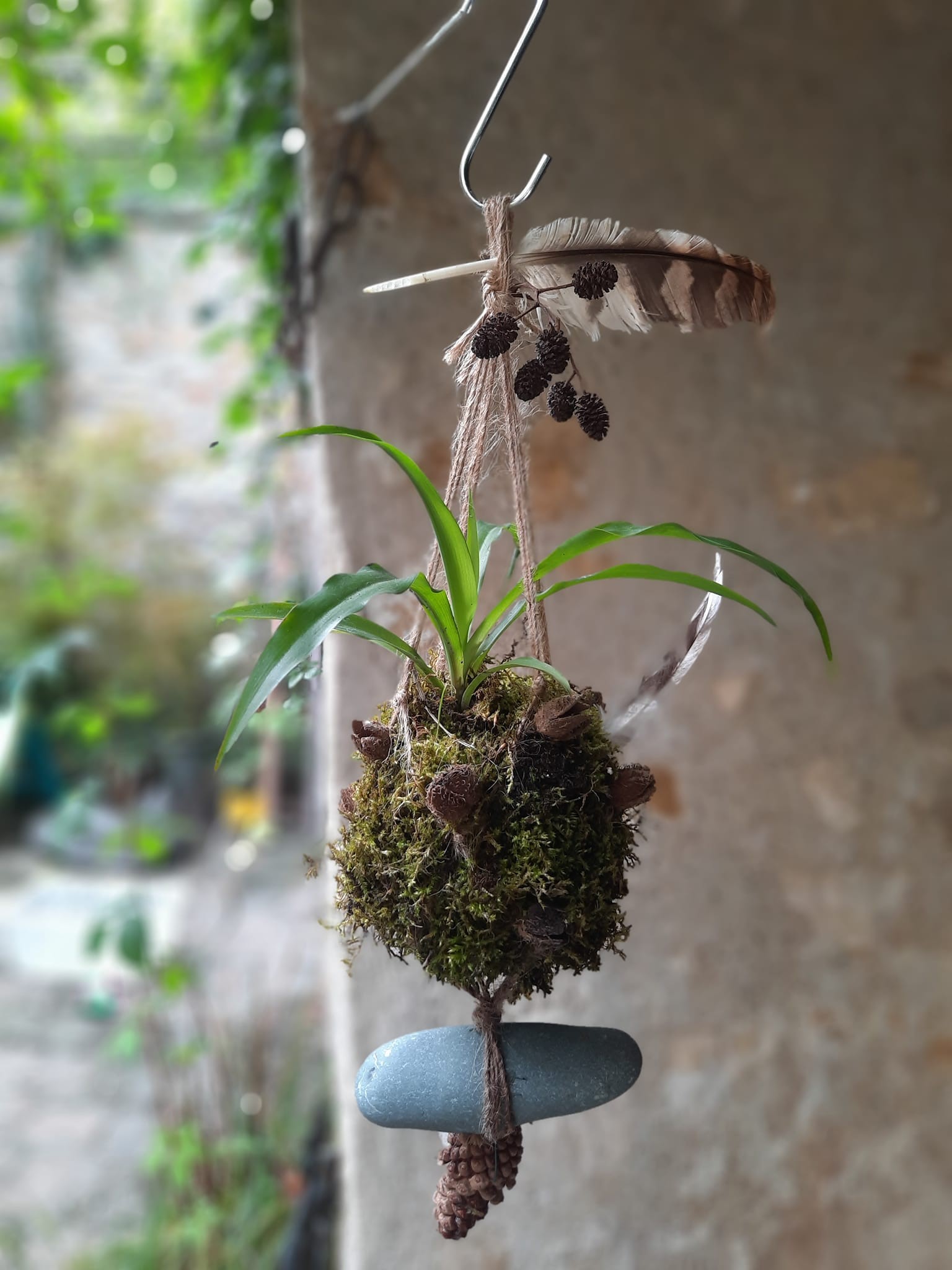 kokedama.jpg