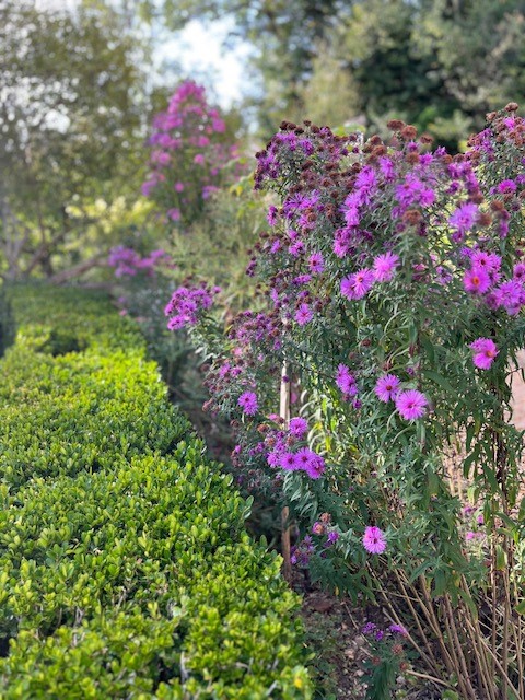 Jardin gachet oct23.jpg