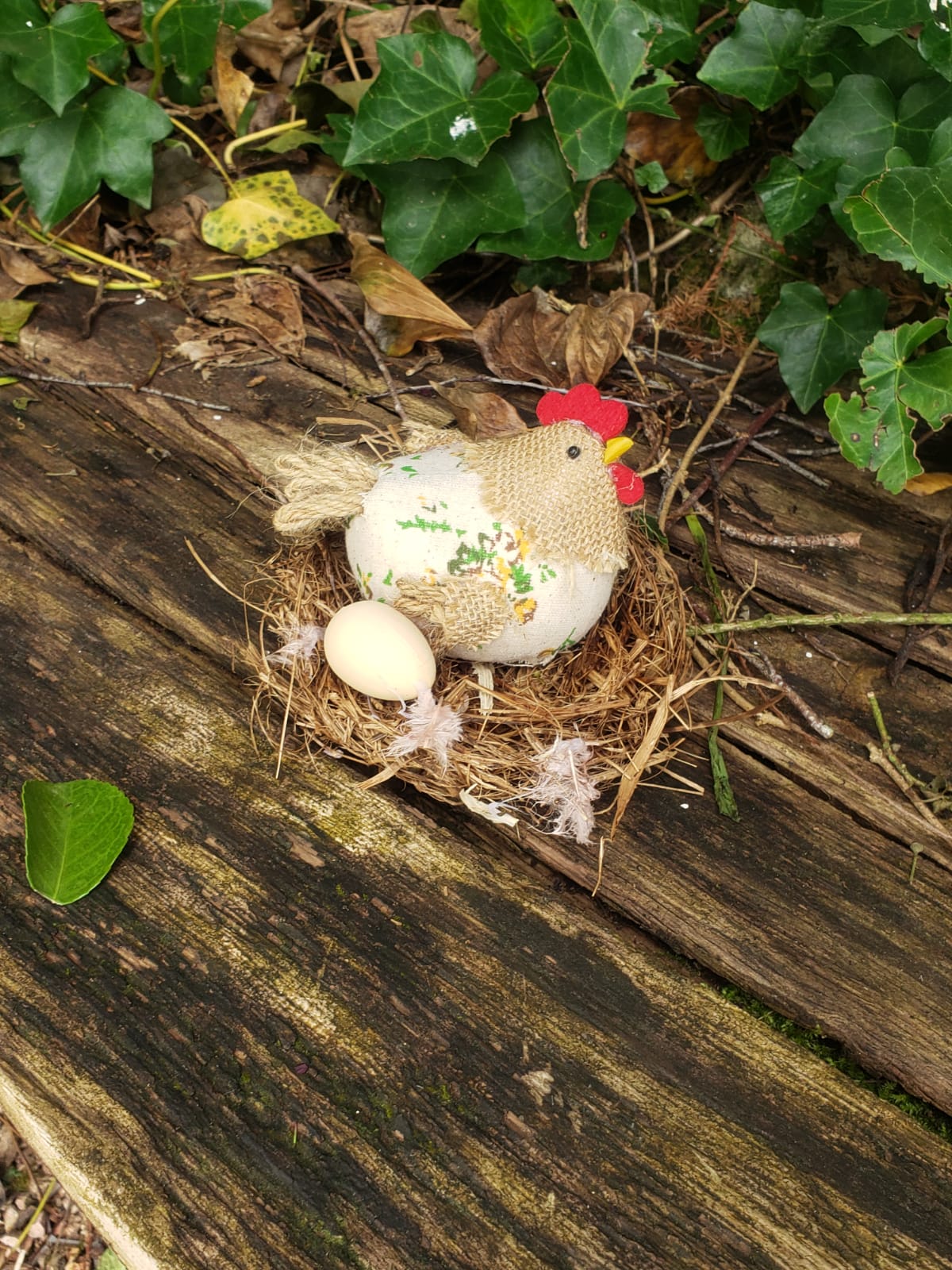 Chasse aux oeufs.jpeg