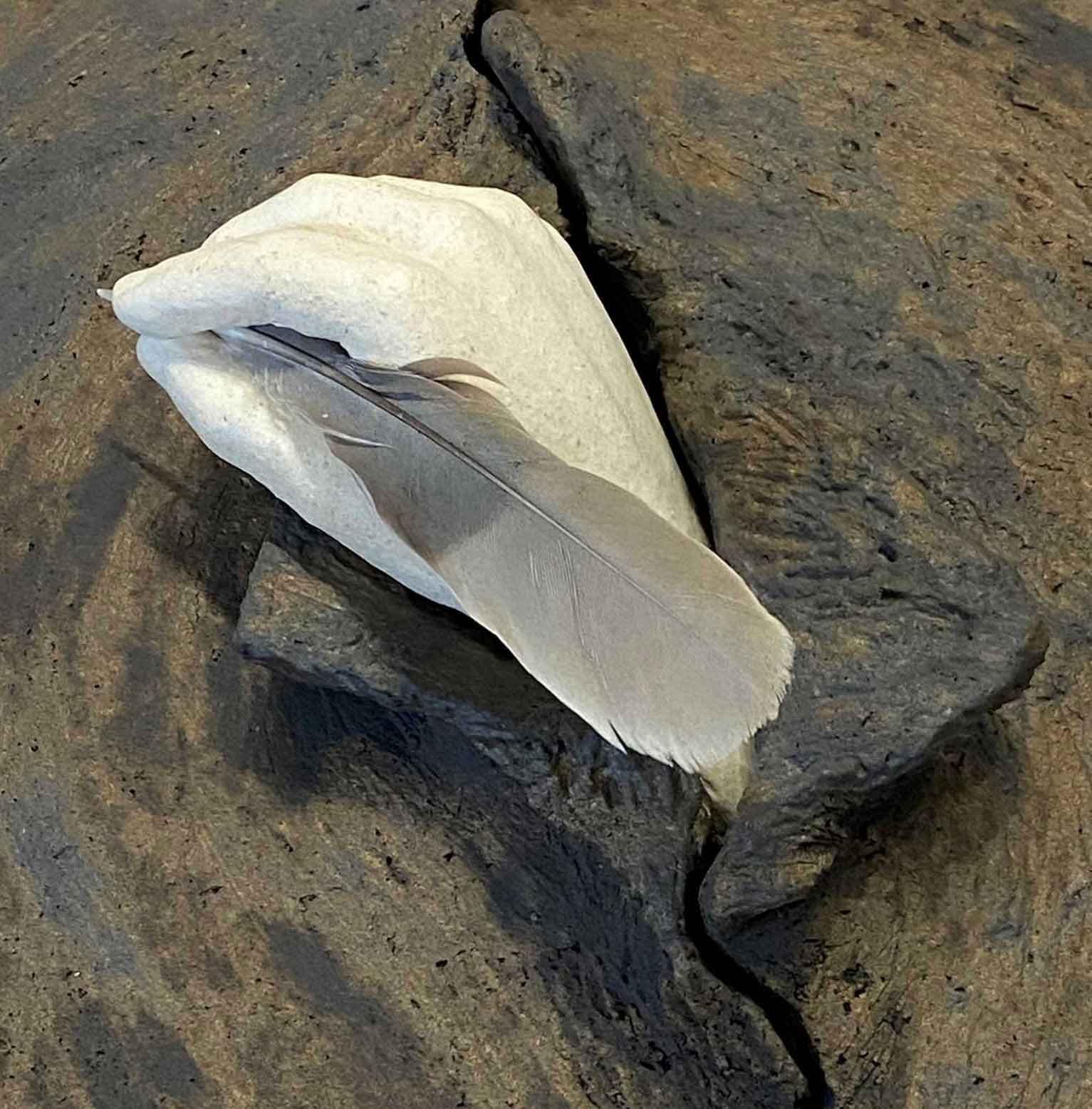 05-9Atelier-ceramique----Bernadette-Weiner-2.