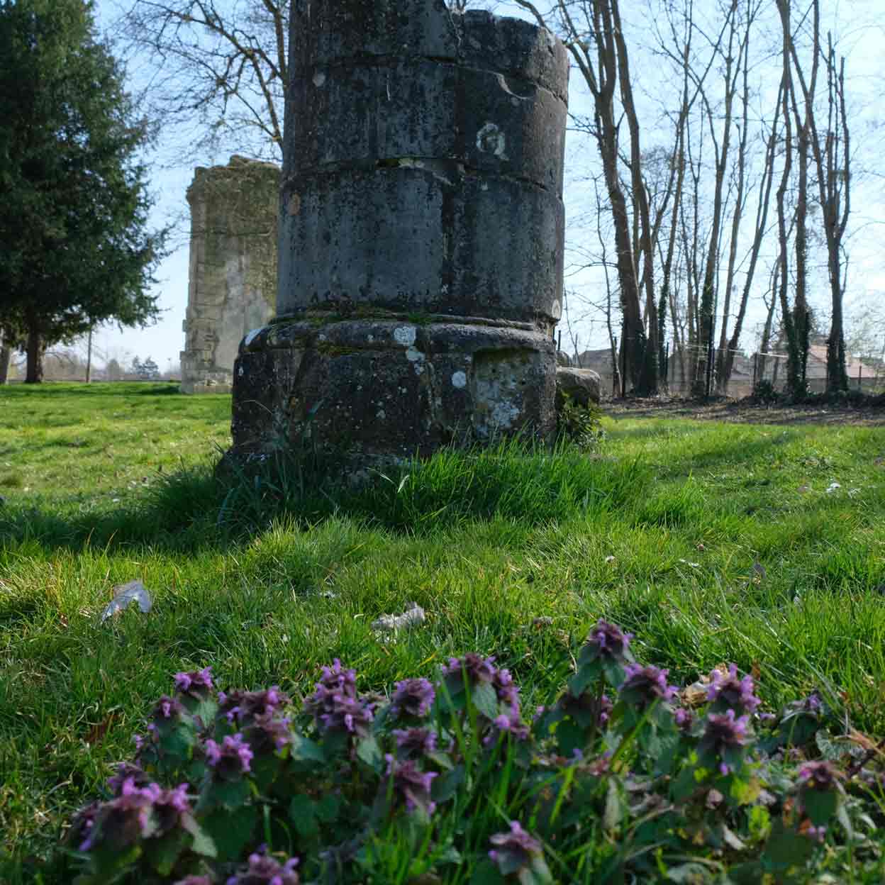 Visite-histo-vegatal---FLEURS_17-03-2025-(3).