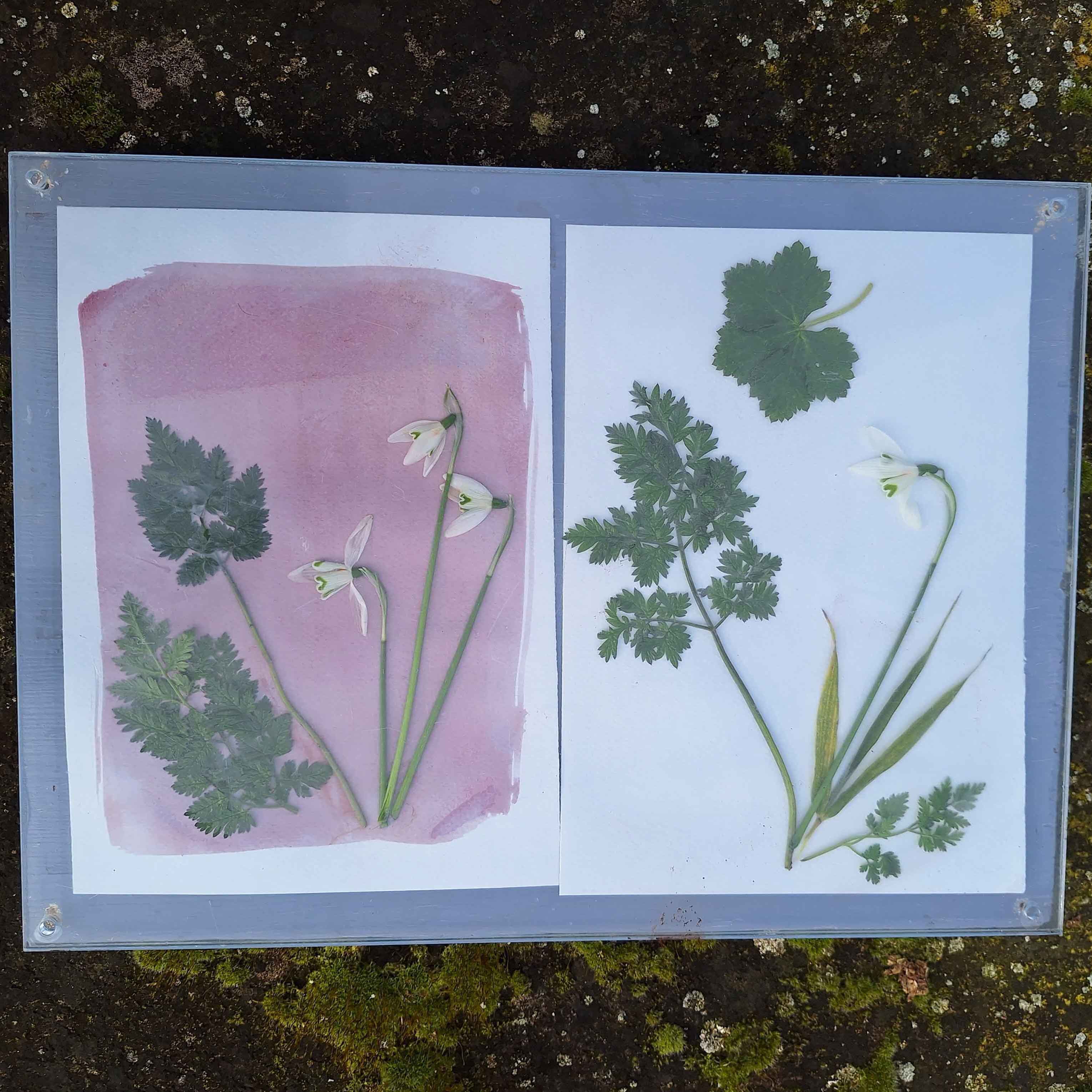 06-27_ATELIER-TANINS-VEGETAUX-(c)-Abbaye-de-M