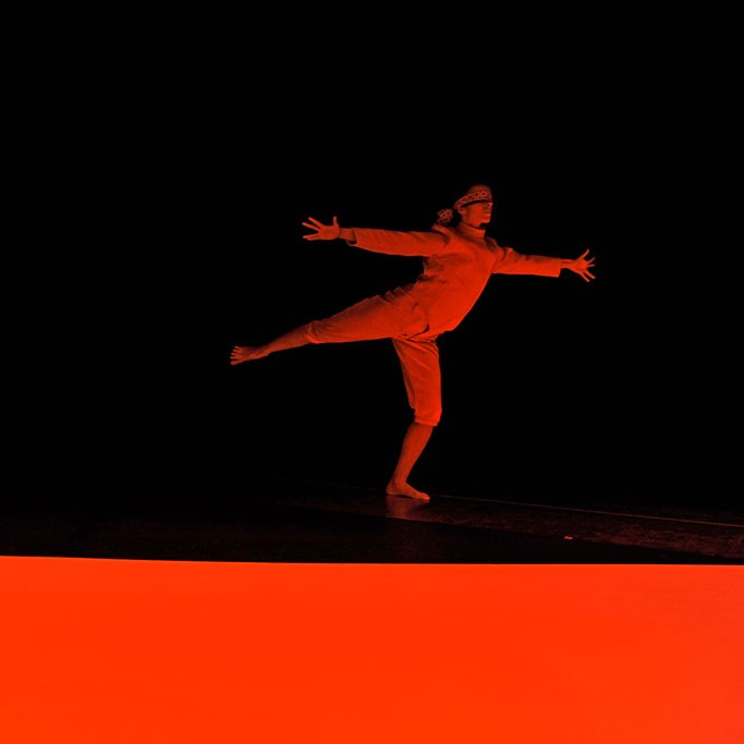 CARRE-WEB--RenardHD-2--Delphine-Lermite.jpg